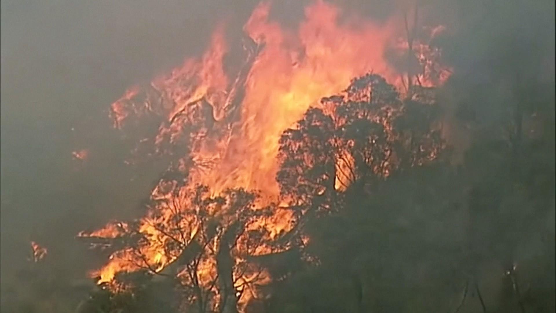 Australia S Fires Could Change The Country Forever