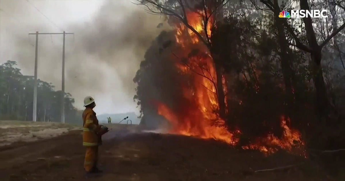 Expert says Australia wildfires are a direct ‘impact of human caused climate change’ - MSNBC